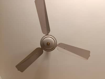 Very good quality fans in perfect running conditions