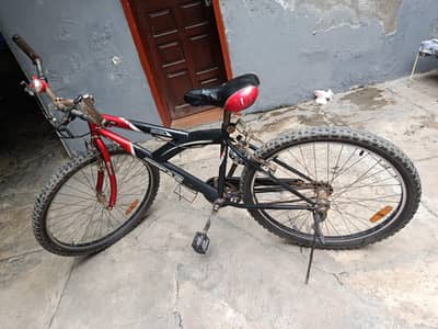 mountain bicycle
