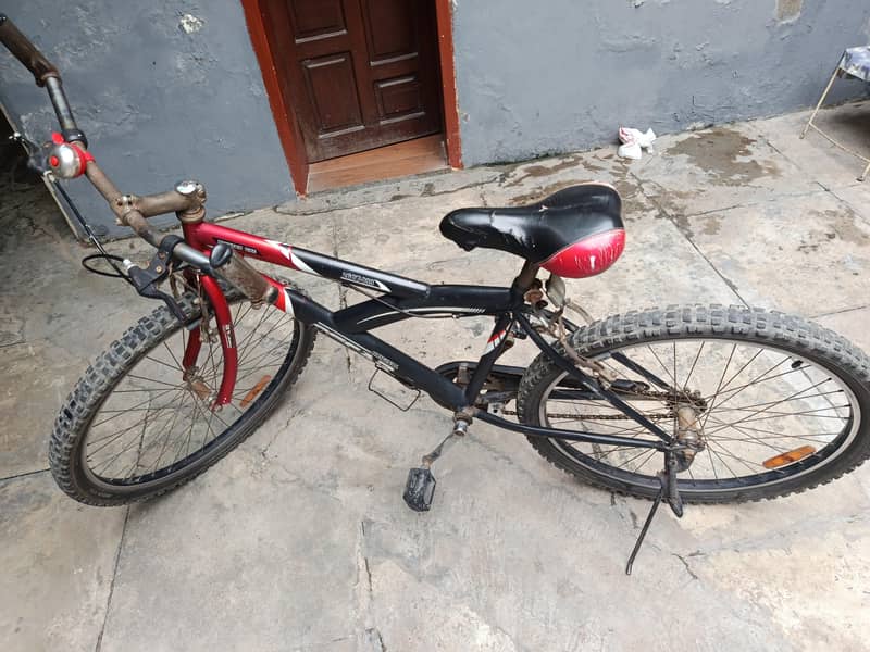 mountain bicycle 1