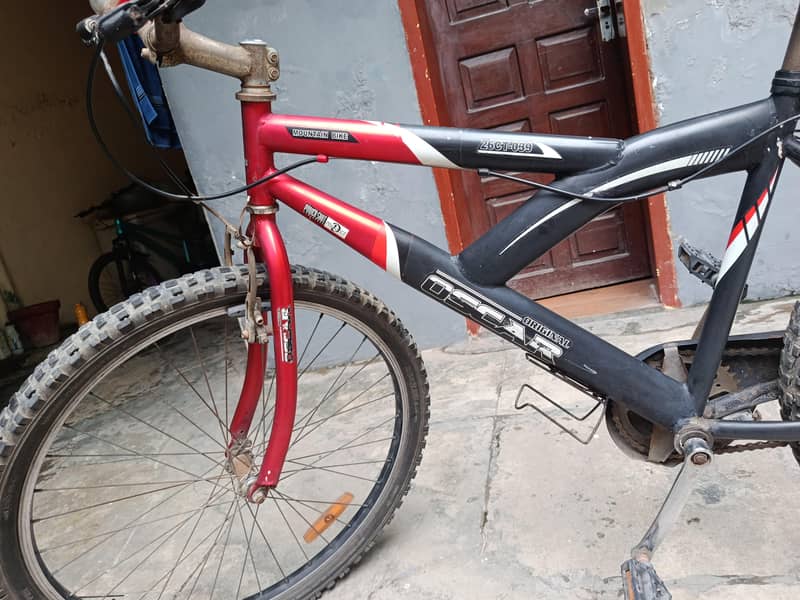 mountain bicycle 3
