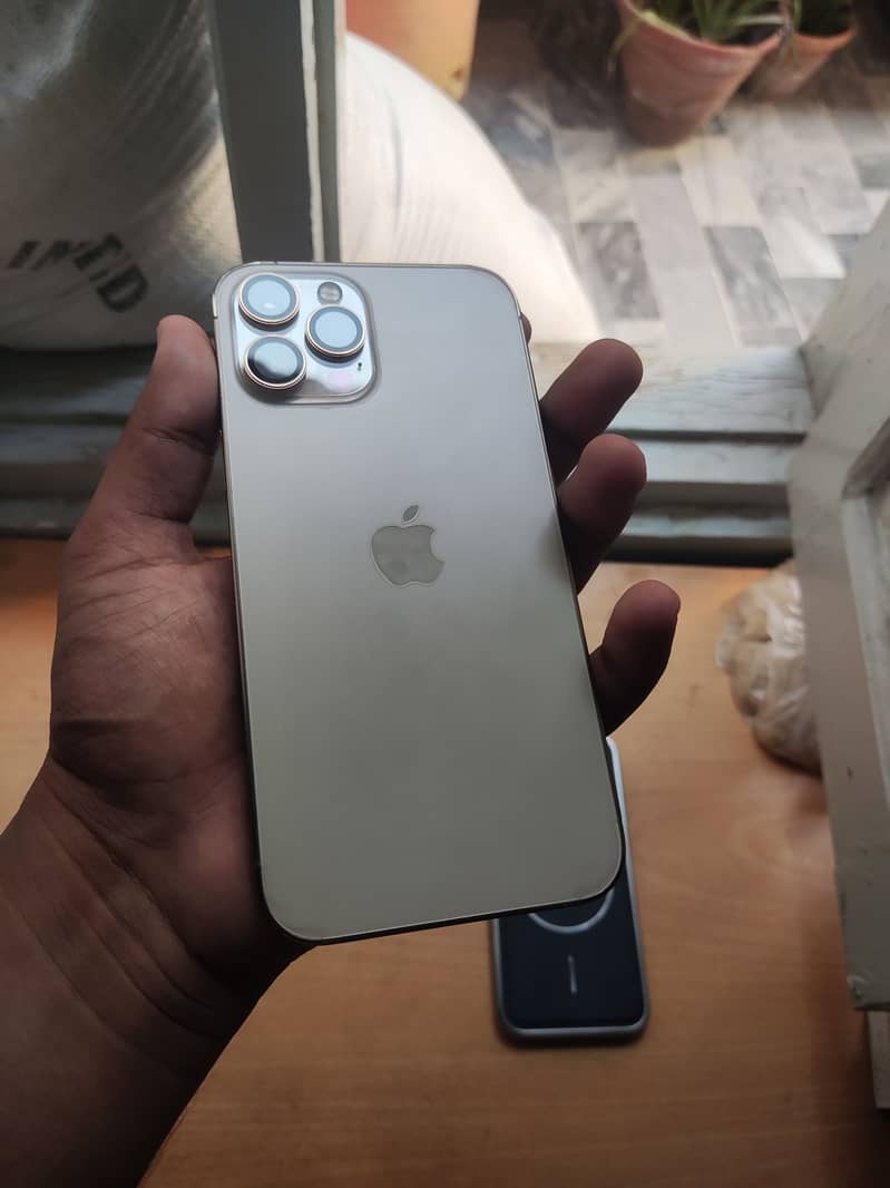 Apple iPhone 12 Pro Max 1
