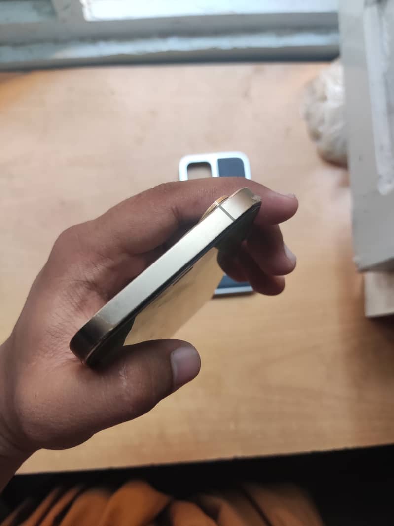 Apple iPhone 12 Pro Max 5
