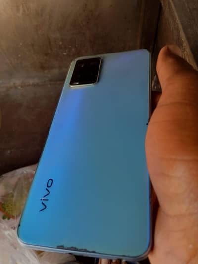 Vivo y31