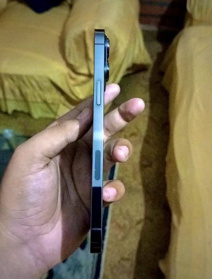 Apple iPhone 13 Pro Max 3