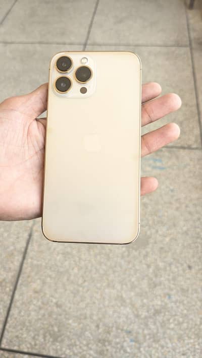 Apple iPhone 13 Pro Max