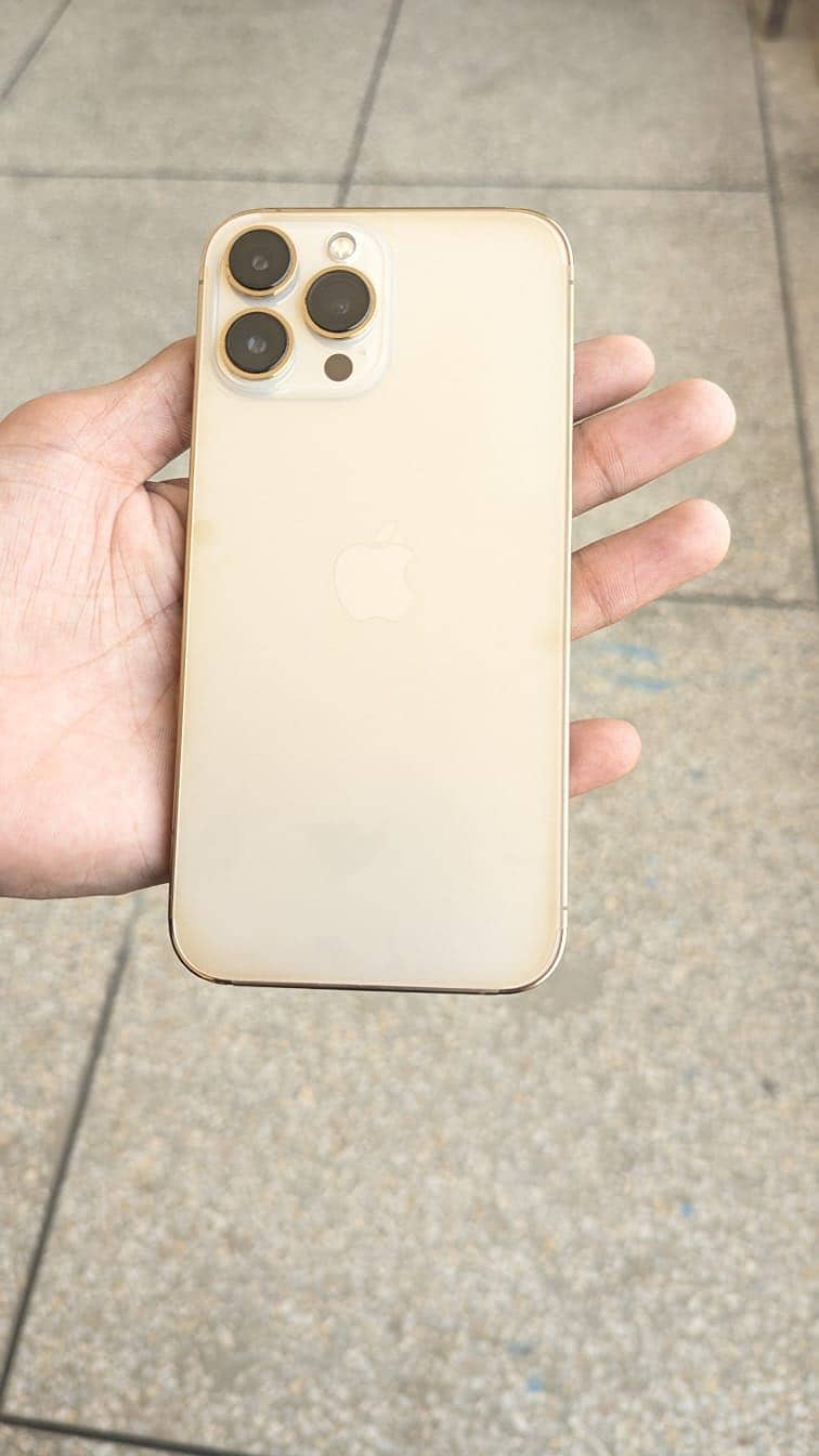 Apple iPhone 13 Pro Max 0
