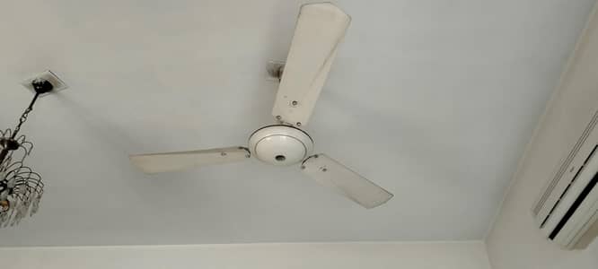 ceiling fan