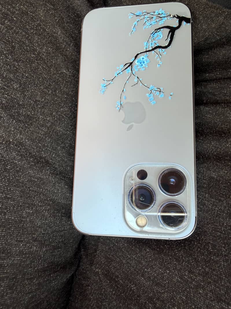 Apple iPhone 13 Pro 0