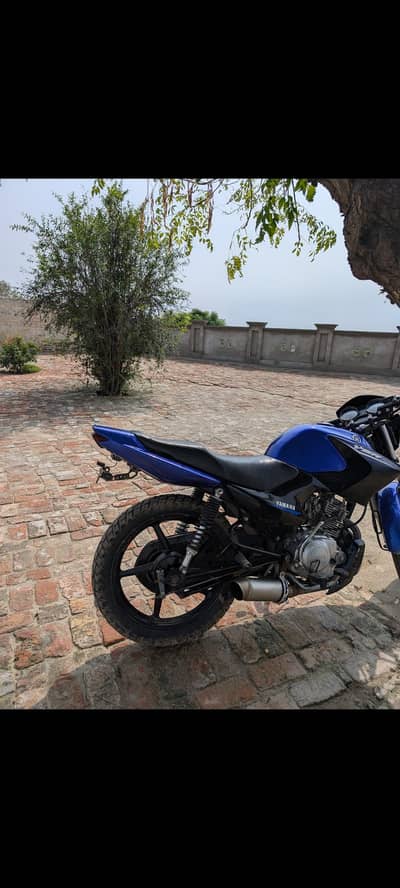 Yamaha ybr 125