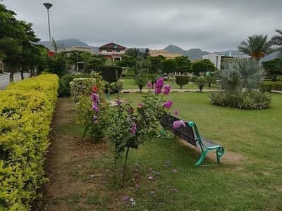 MPCHS E Block 30x60 Solid Land Plot Available
