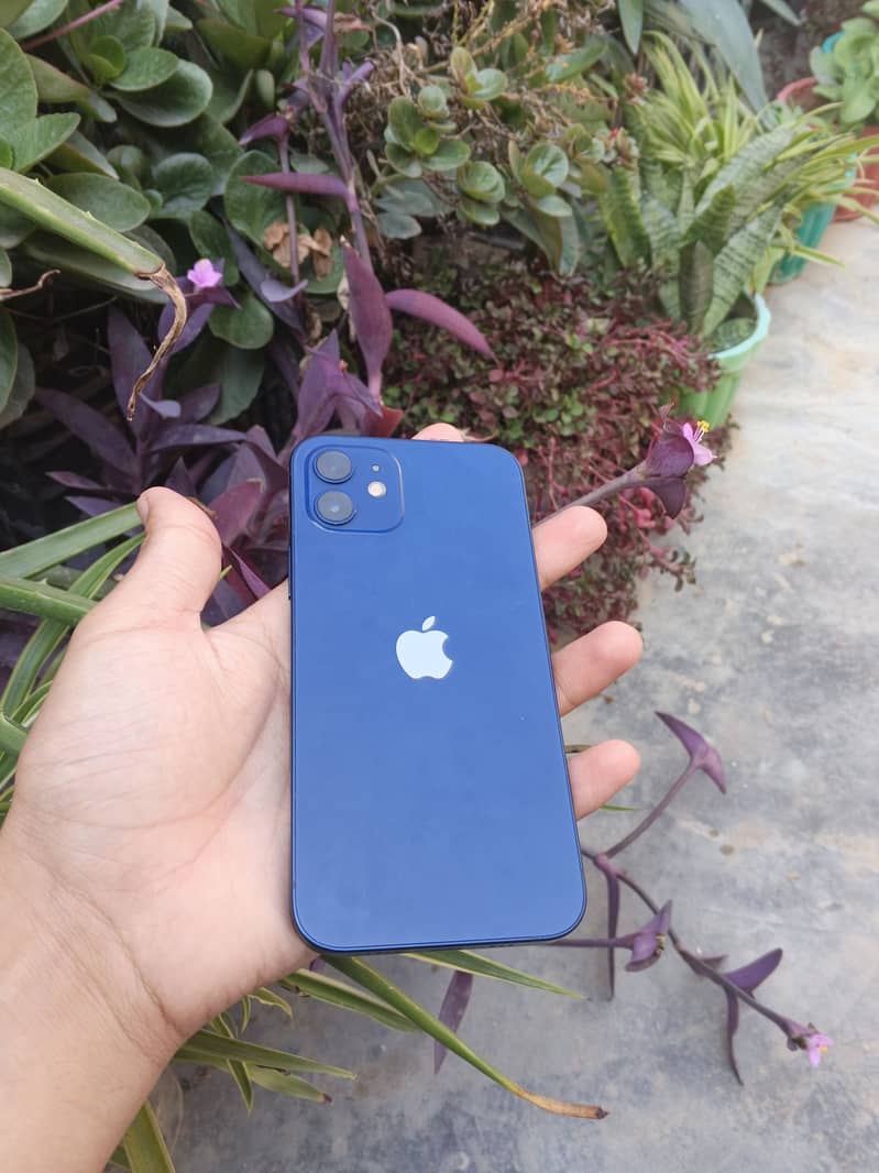 Apple iPhone 12 0