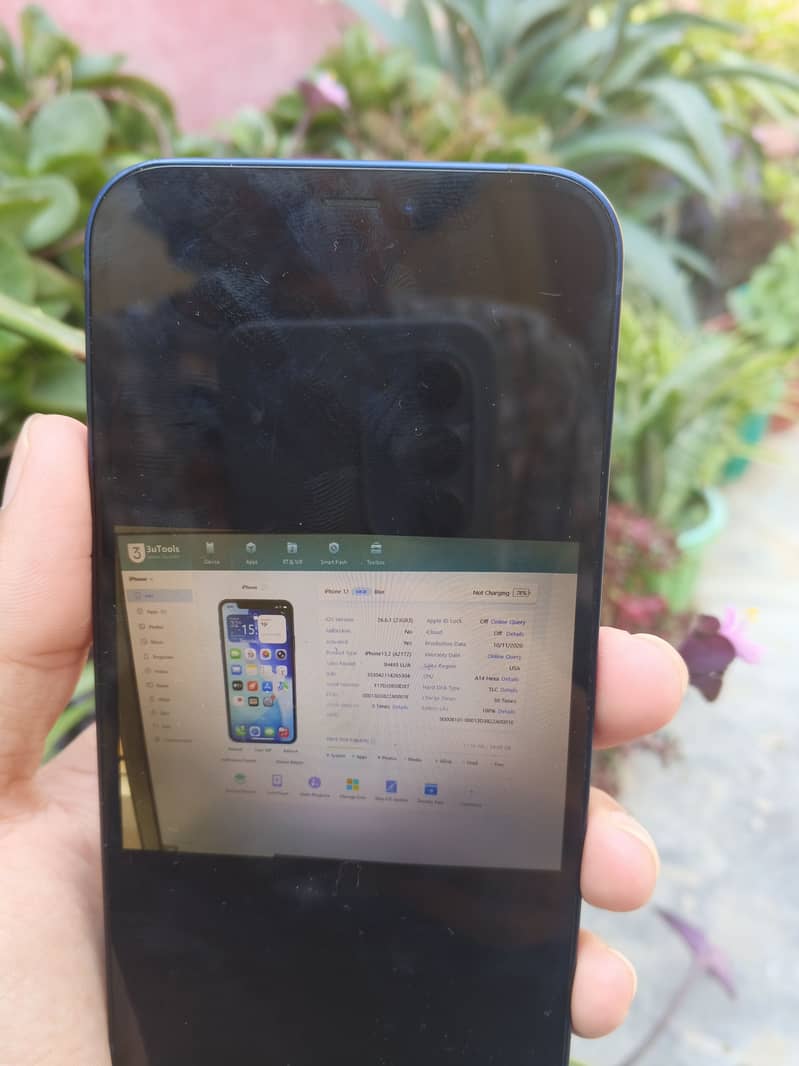 Apple iPhone 12 2