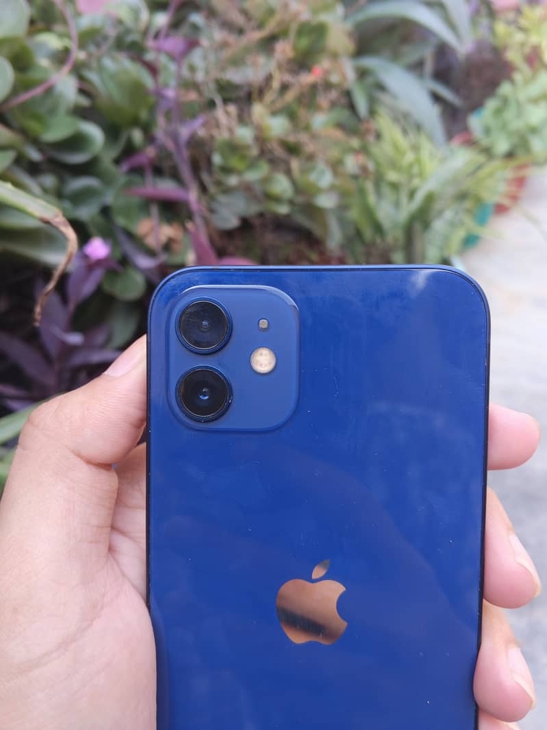 Apple iPhone 12 5
