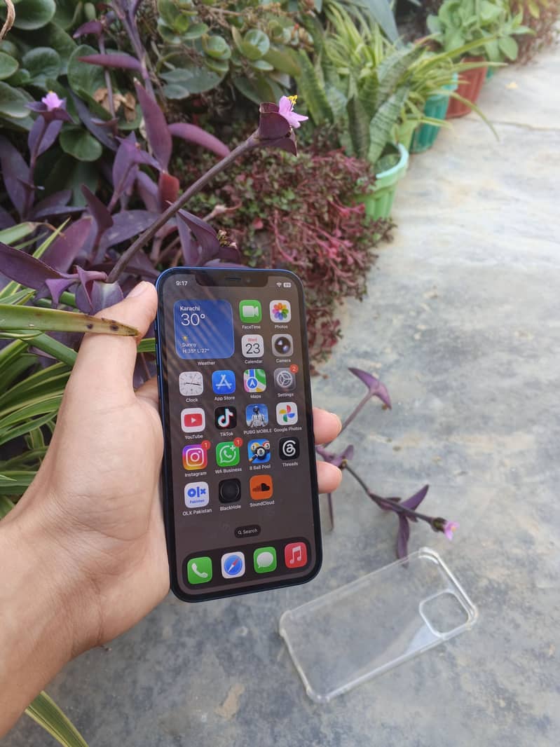 Apple iPhone 12 6