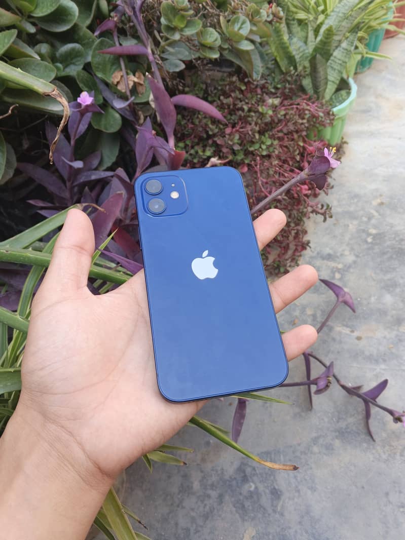 Apple iPhone 12 7