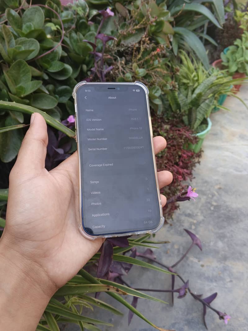 Apple iPhone 12 11