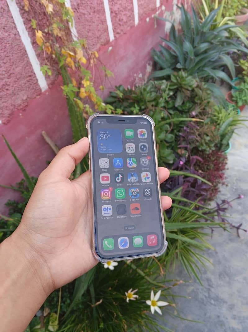 Apple iPhone 12 13