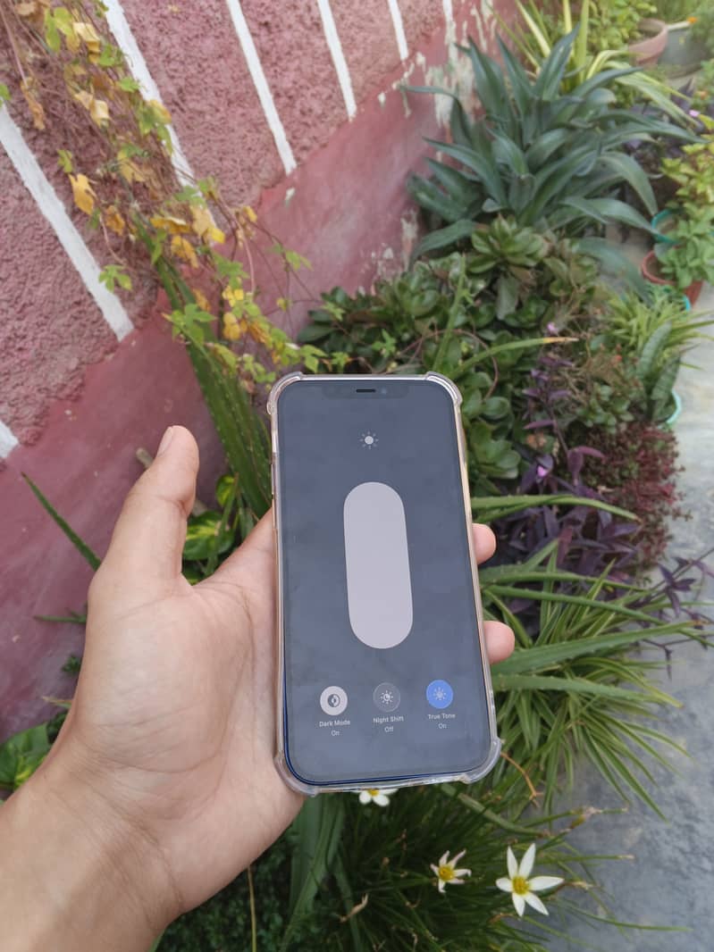 Apple iPhone 12 14