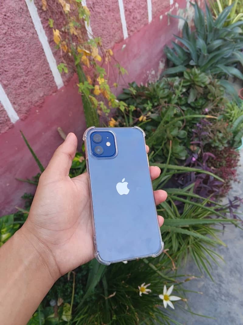 Apple iPhone 12 15