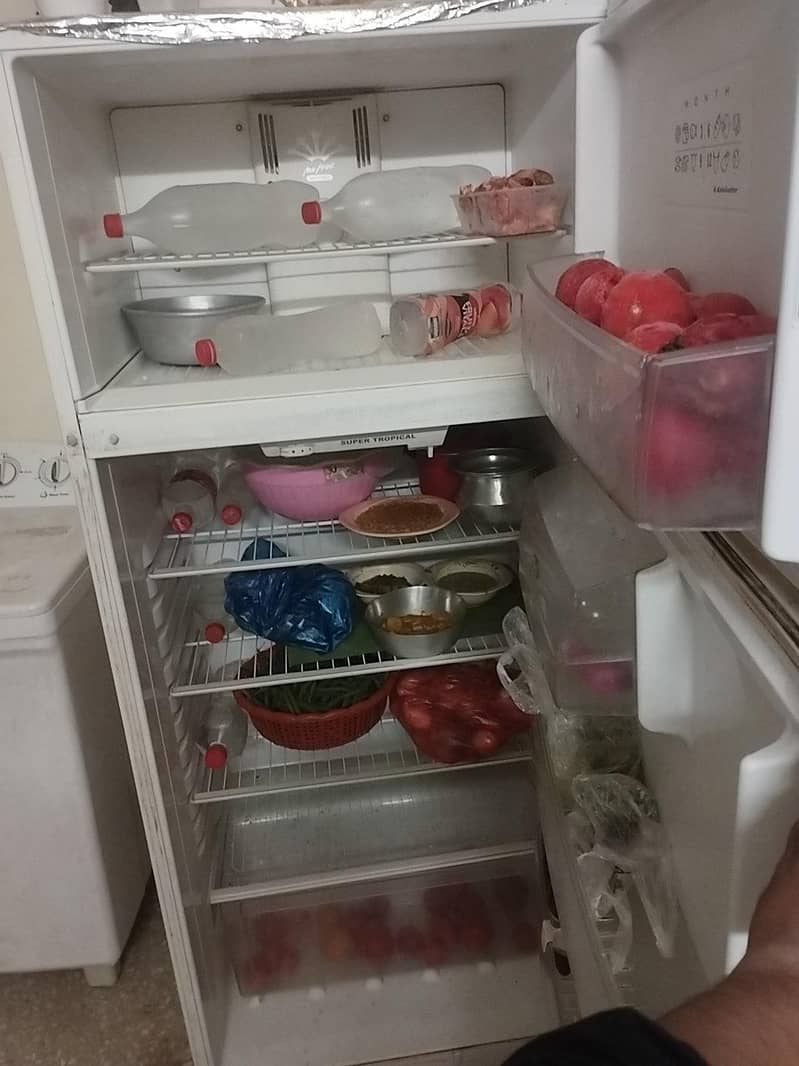 Fridge 1