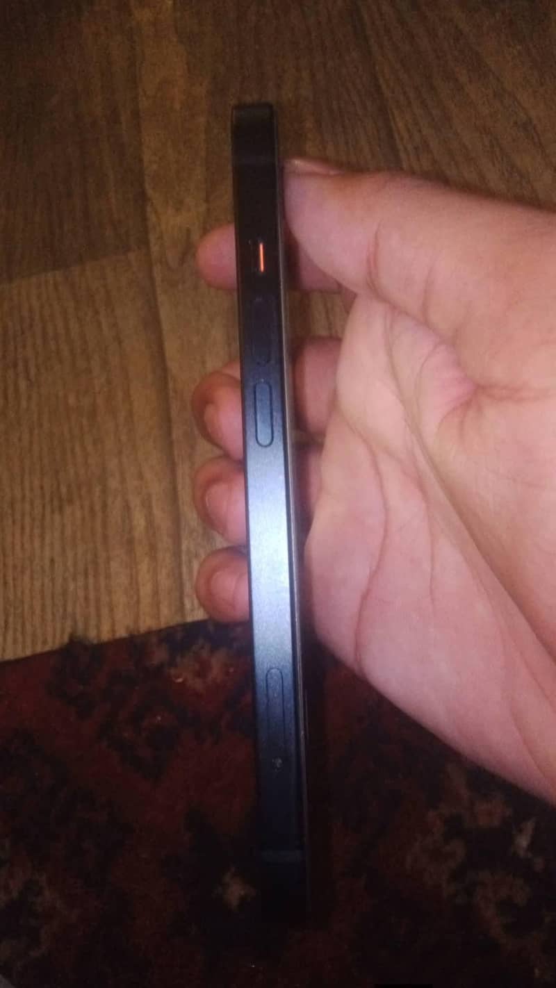 Apple iPhone 13 0