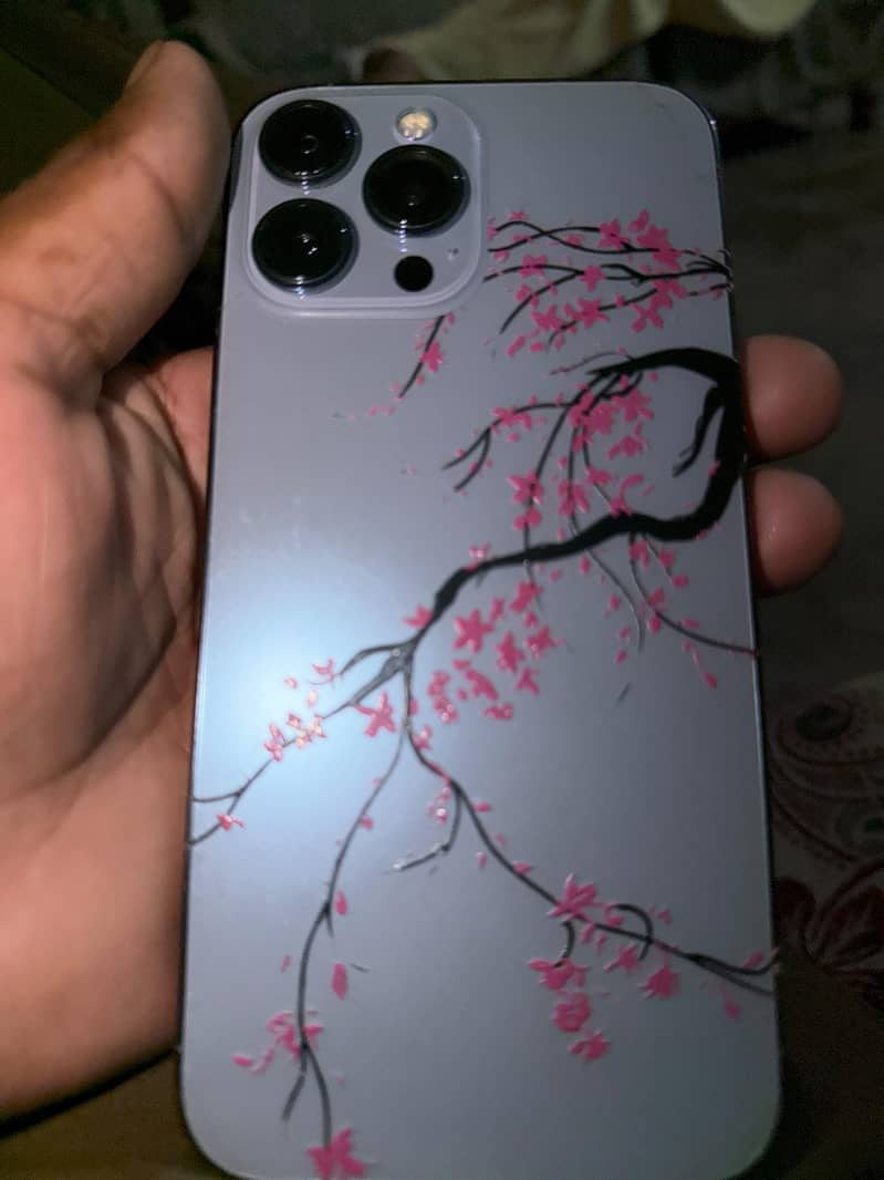 Apple iPhone 13 Pro Max 0