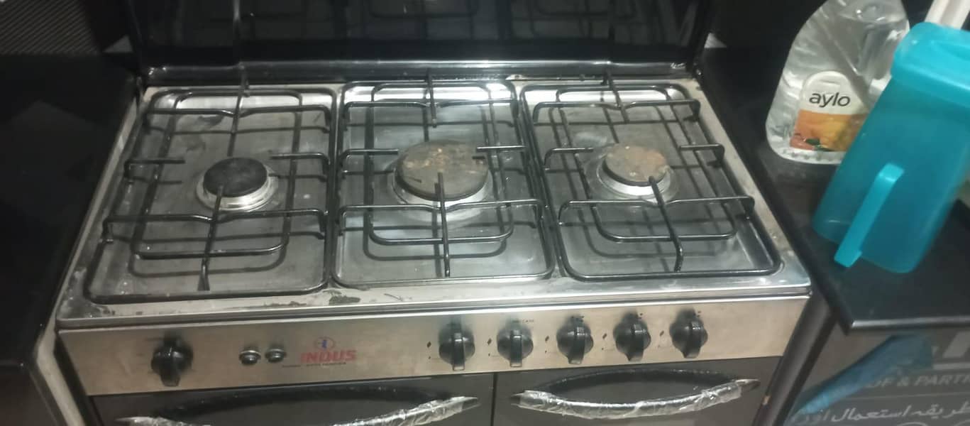 Indus oven 2
