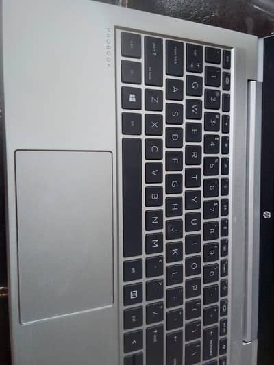HP PROBOOK 445 G8