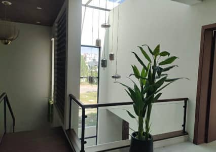 Beautiful Independent Oneunit Bungalow for Rent