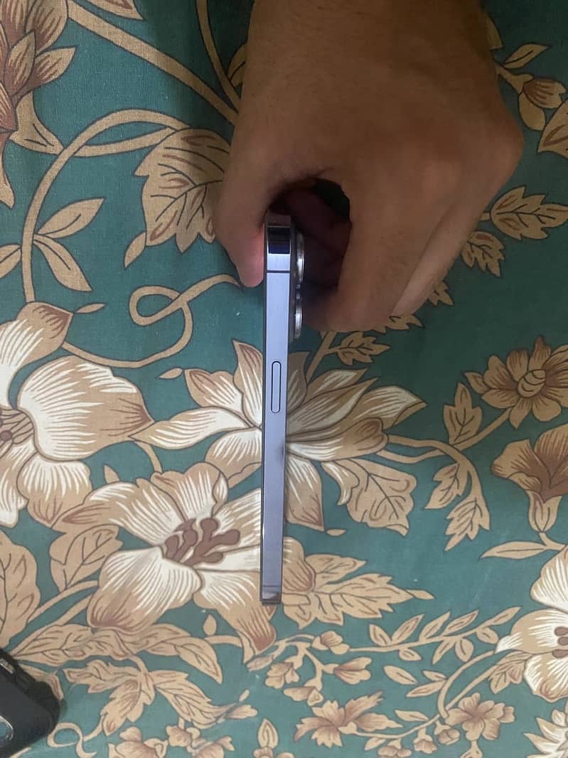 Apple iPhone 13 Pro 2