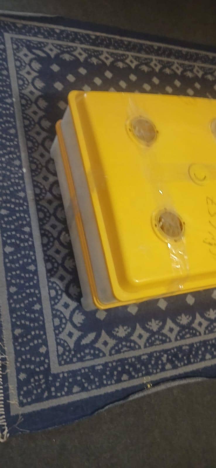 egg hatching incubator 4