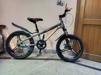 Bicycle Gerik Cycle Imported Bicycle 20   inches For Sale