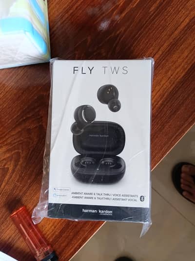 Harman Kardon earbuds