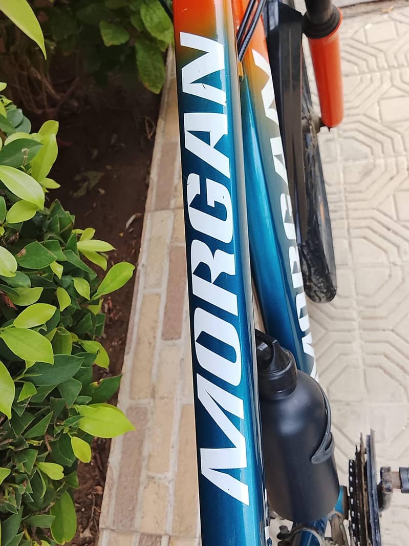 bicycle 4