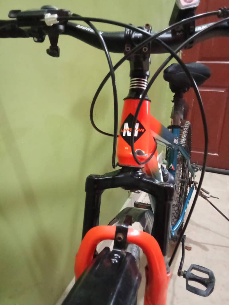 bicycle 10