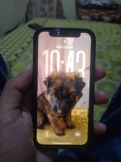 Apple iPhone 12 mini