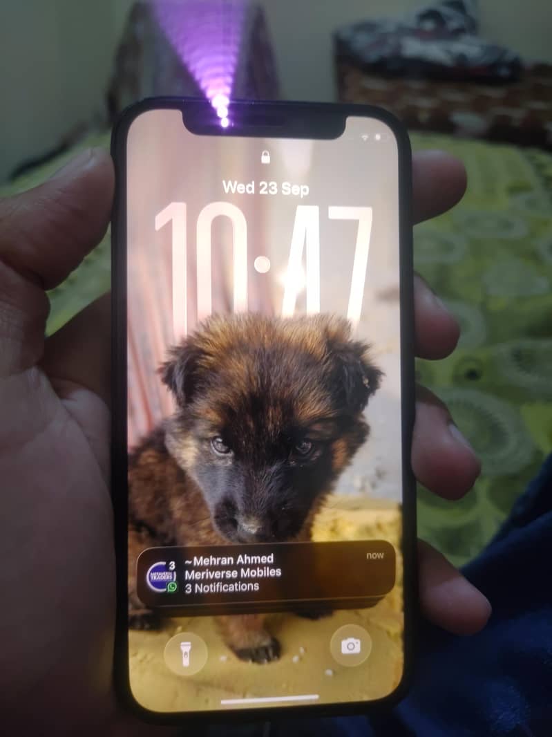 Apple iPhone 12 mini (cash only price negotiable) 6