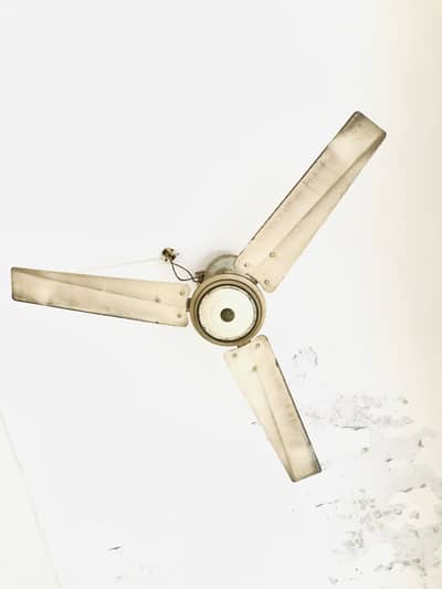 Ceiling Fan