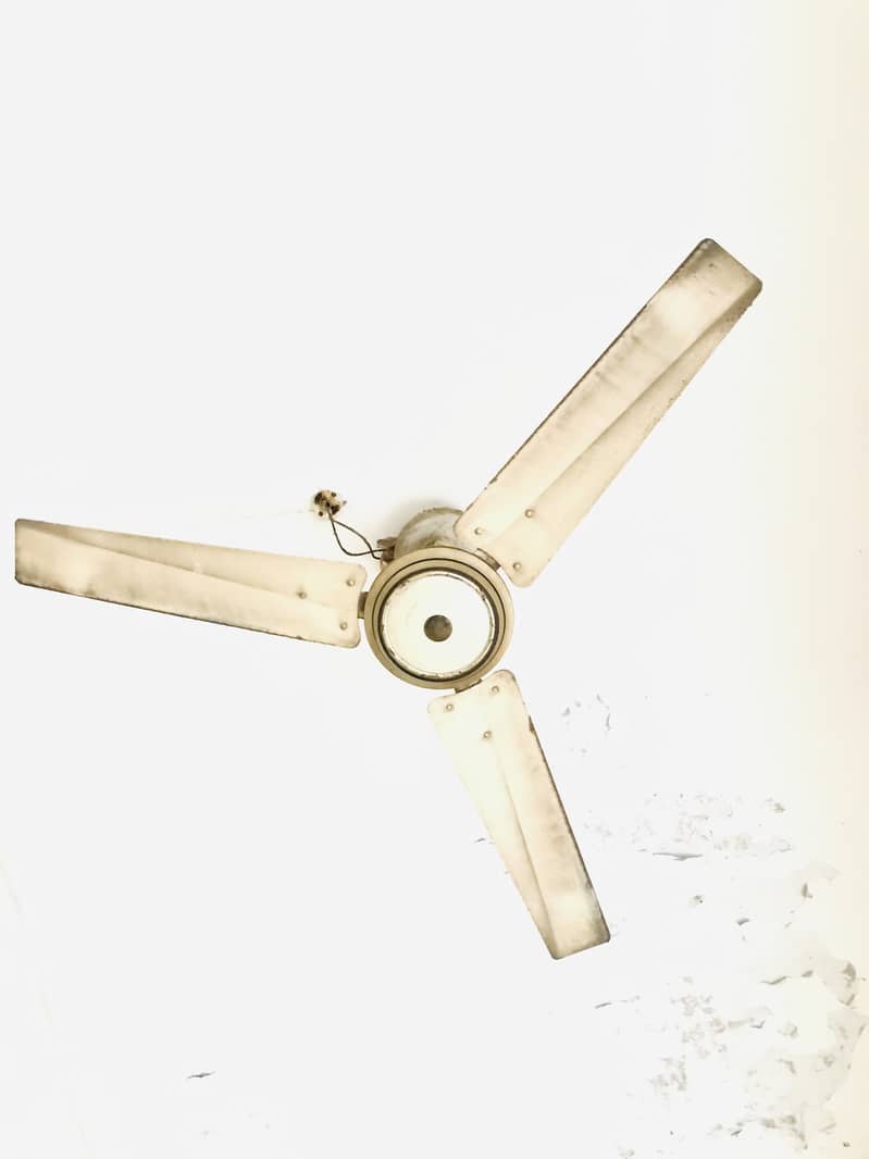 Ceiling Fan 1