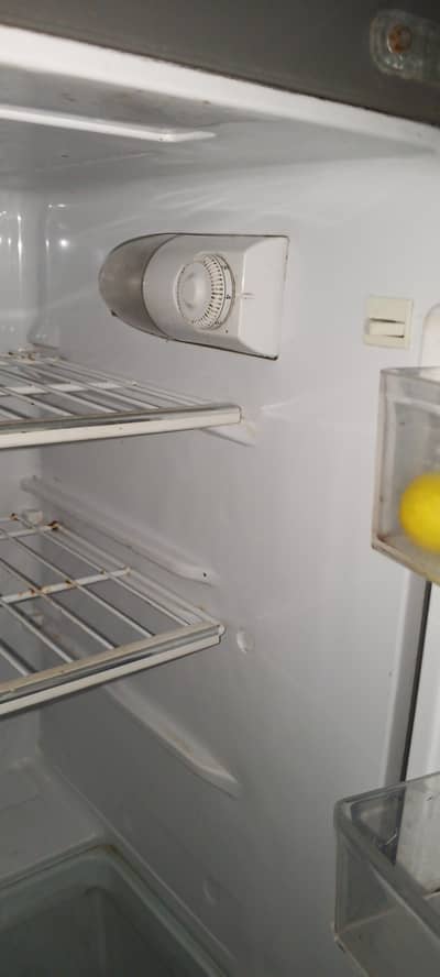 best fridge