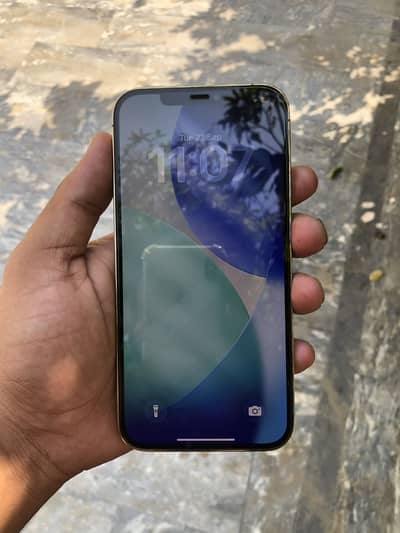 Apple iPhone 12 Pro Max