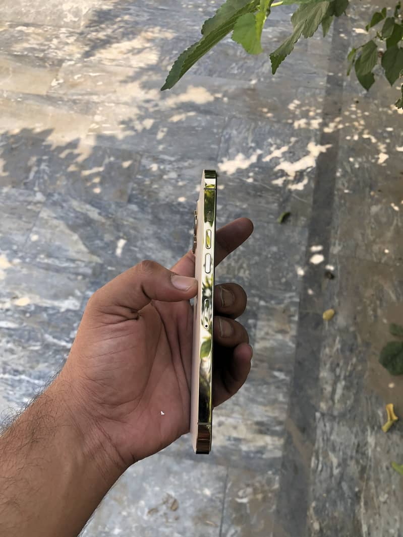 Apple iPhone 12 Pro Max 1
