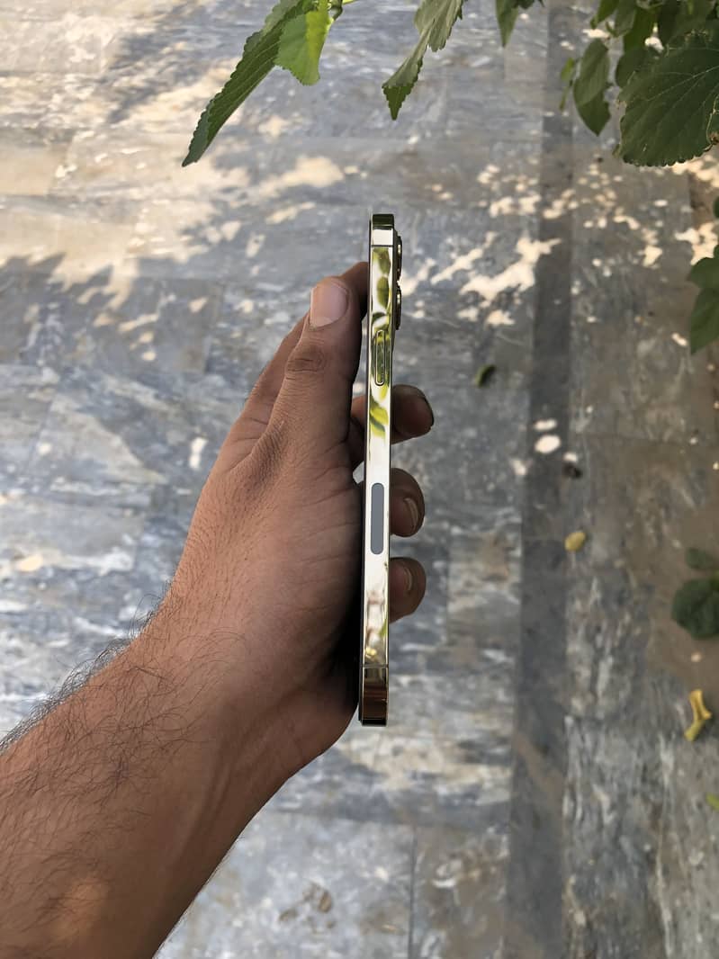 Apple iPhone 12 Pro Max 2