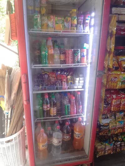 400 Liter display chiller