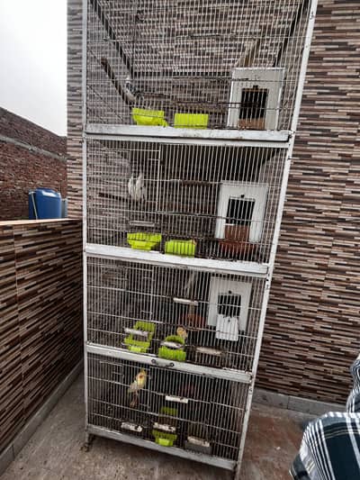 4 portion double angle cage/1.5 by 2.5 portion cage double angle
