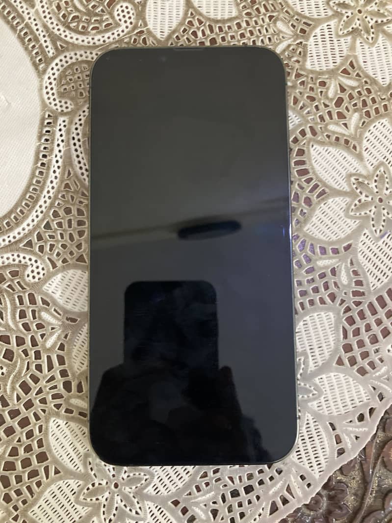 Apple iPhone 13 Pro Max 1