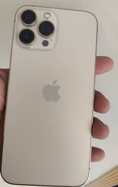 Apple iPhone 13 Pro Max