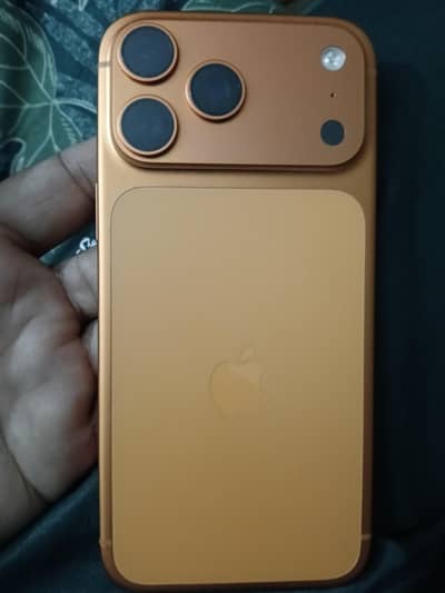 17promax 256gb 10/10