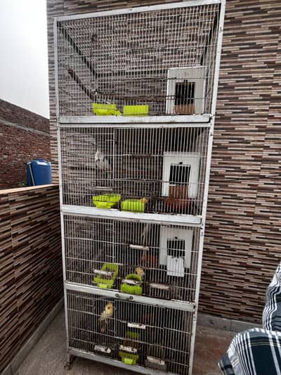 4 portion double angle cage/1.5 by 2.5 (4 portion cage