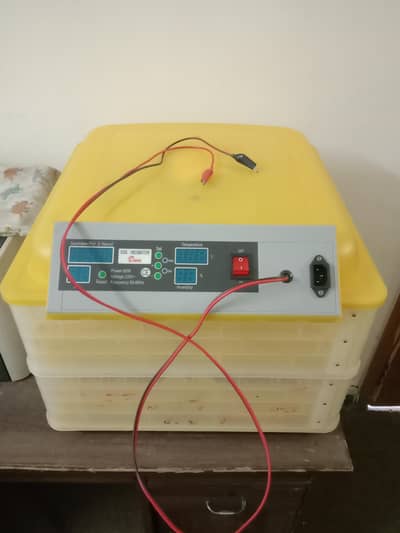 Automatic Egg Incubator in Excellent Condition